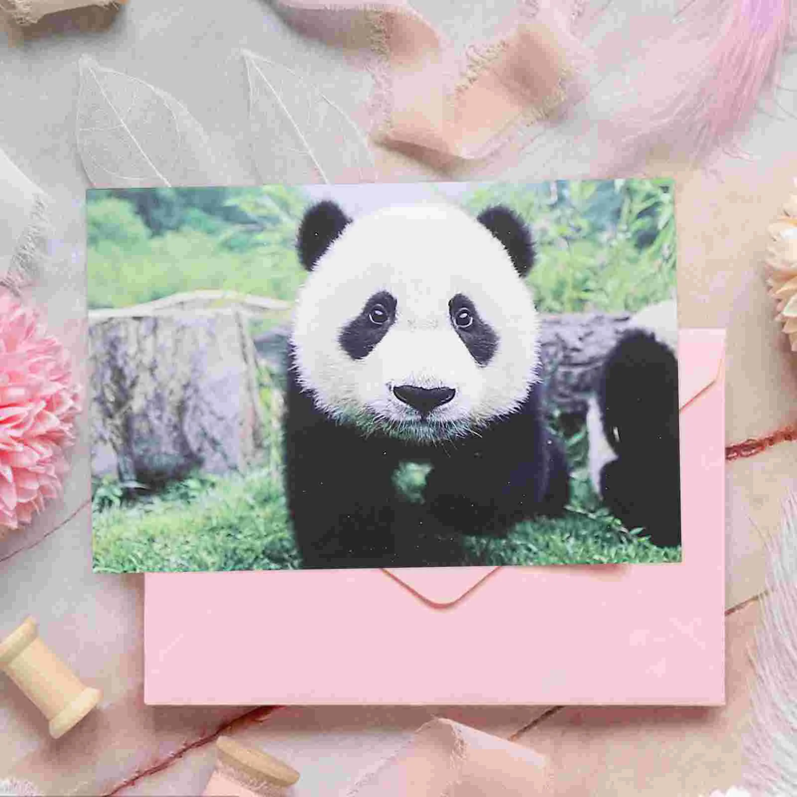 10buc Panda Adorabil cărți Poștale Fotografie Animale Serie carte Poștală Mare pentru Dusuri pentru Copii, Cadou de ziua Recunoștinței