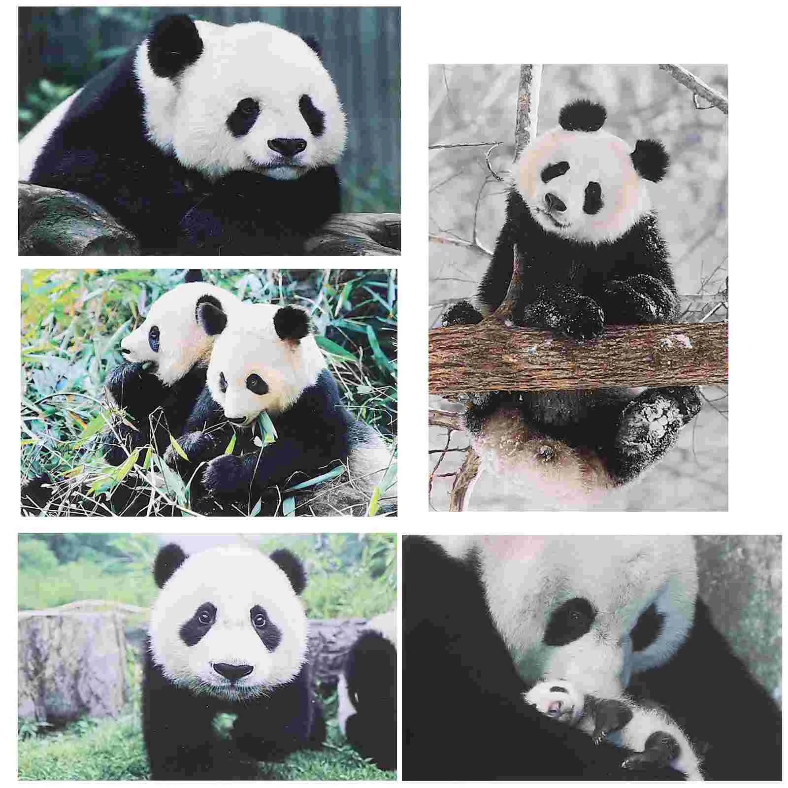 10buc Panda Adorabil cărți Poștale Fotografie Animale Serie carte Poștală Mare pentru Dusuri pentru Copii, Cadou de ziua Recunoștinței